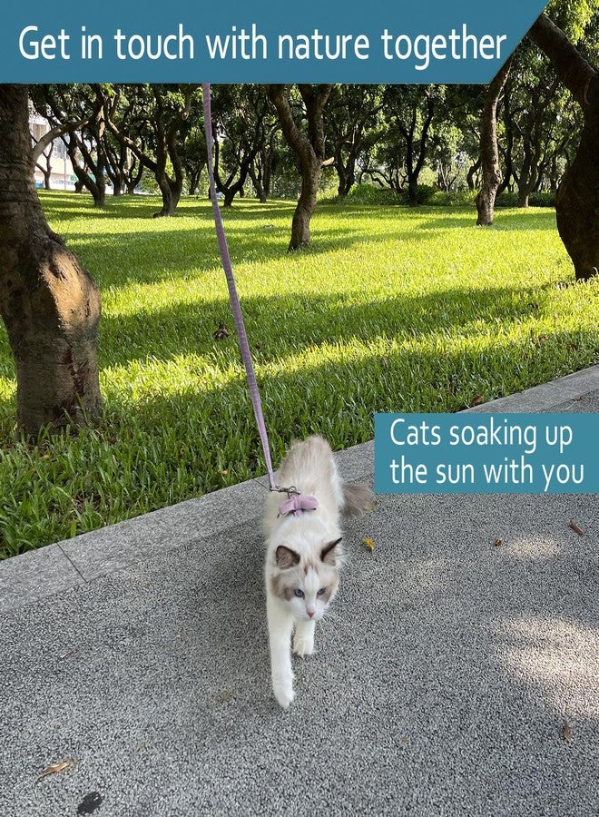 Ddzmz Soft Mesh Breathable Cat Harness and Leash - Escape Proof, Adjustable Pets Vest Harness for Cat, Kitten, Puppy, Rabbit, Ferret - Pink, L Size - Image 2